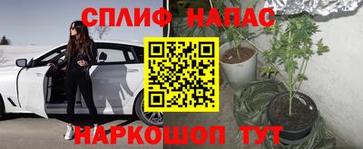 гашик Краснокаменск