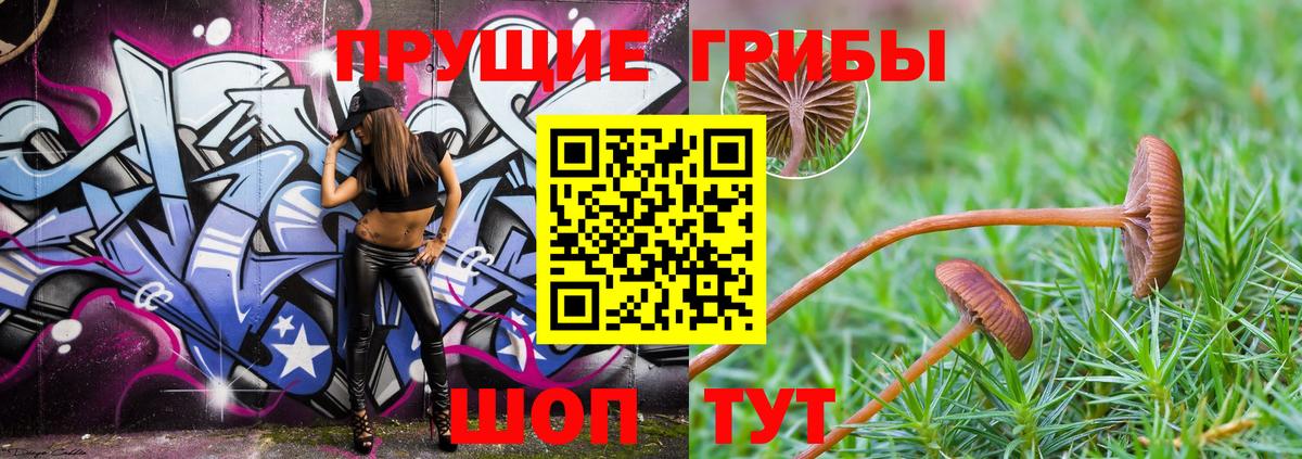 Галлюциногенные грибы Psilocybe Заволжье